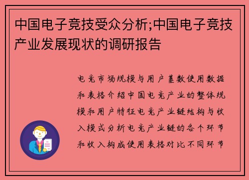 中国电子竞技受众分析;中国电子竞技产业发展现状的调研报告